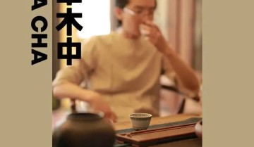 一念草木中新融数千万：在微信生态中怎么做爆一个慢行业