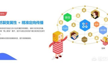 大家来讨论一下怎么操作能使流量裂变与引流？