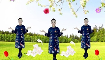 什么是短视频运营？