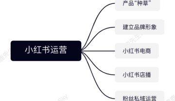 小红书运营团队组织架构设计方案