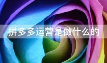 拼多多运营是做什么的