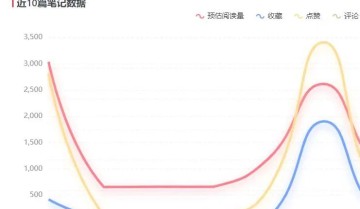 靠小红书实现经济自由，她是怎么做到的？