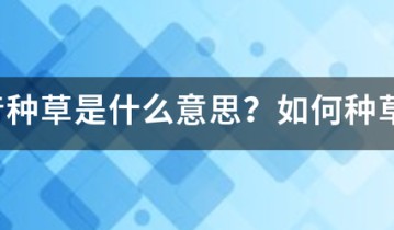 抖音种草是什么意思？如何种草？