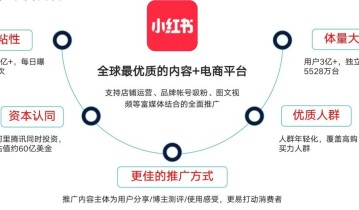 运营好小红书轻松打造爆款，这些人凭什么？