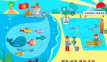 私域流量转化成交公式拆解，建立私域自循环增长体系