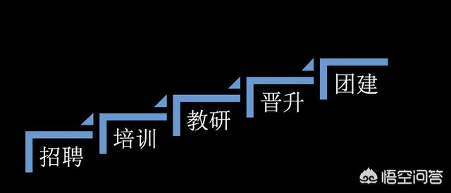 教育机构怎么运营？