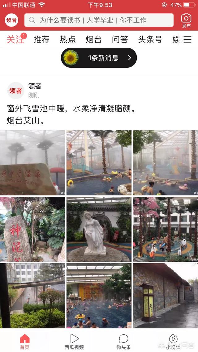 新媒体运营该从哪入手？