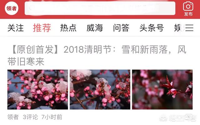 新媒体运营该从哪入手？