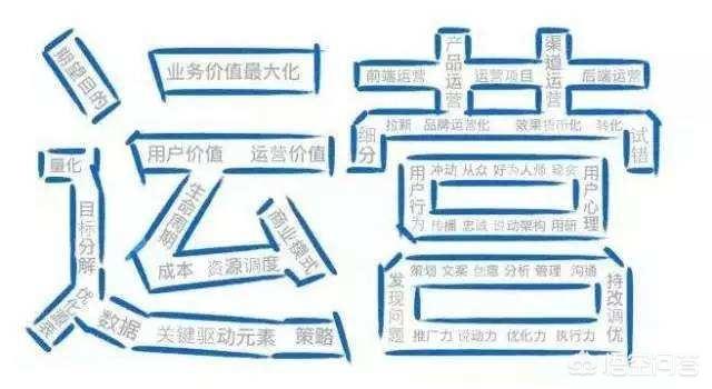 用户运营是什么？