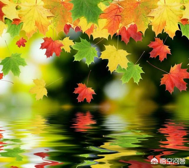 我不懂直播，要怎么直播，注意哪些细节和流程，很想直播和大家分享快乐？