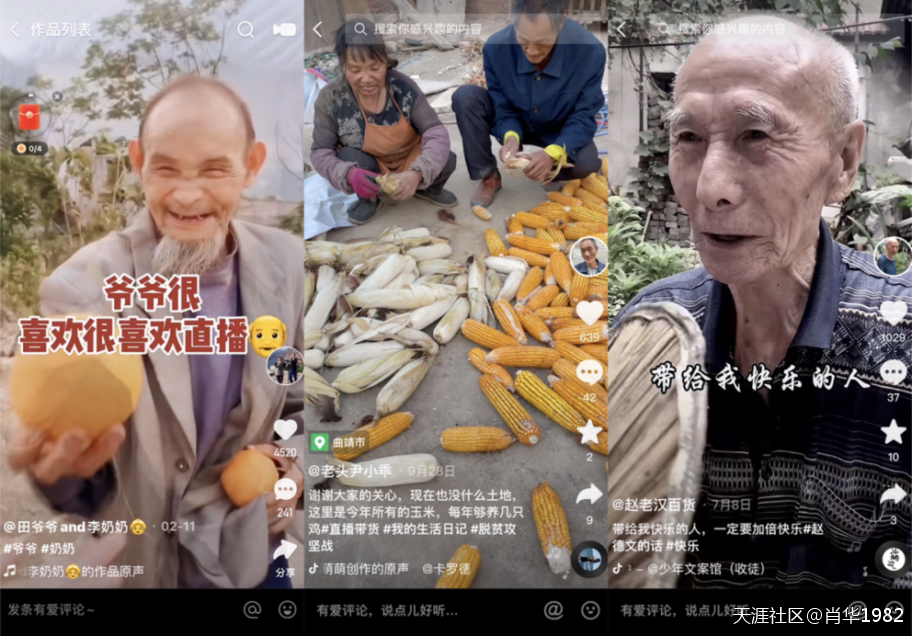 深夜带货、通宵直播，老年主播成了谁的摇钱树？