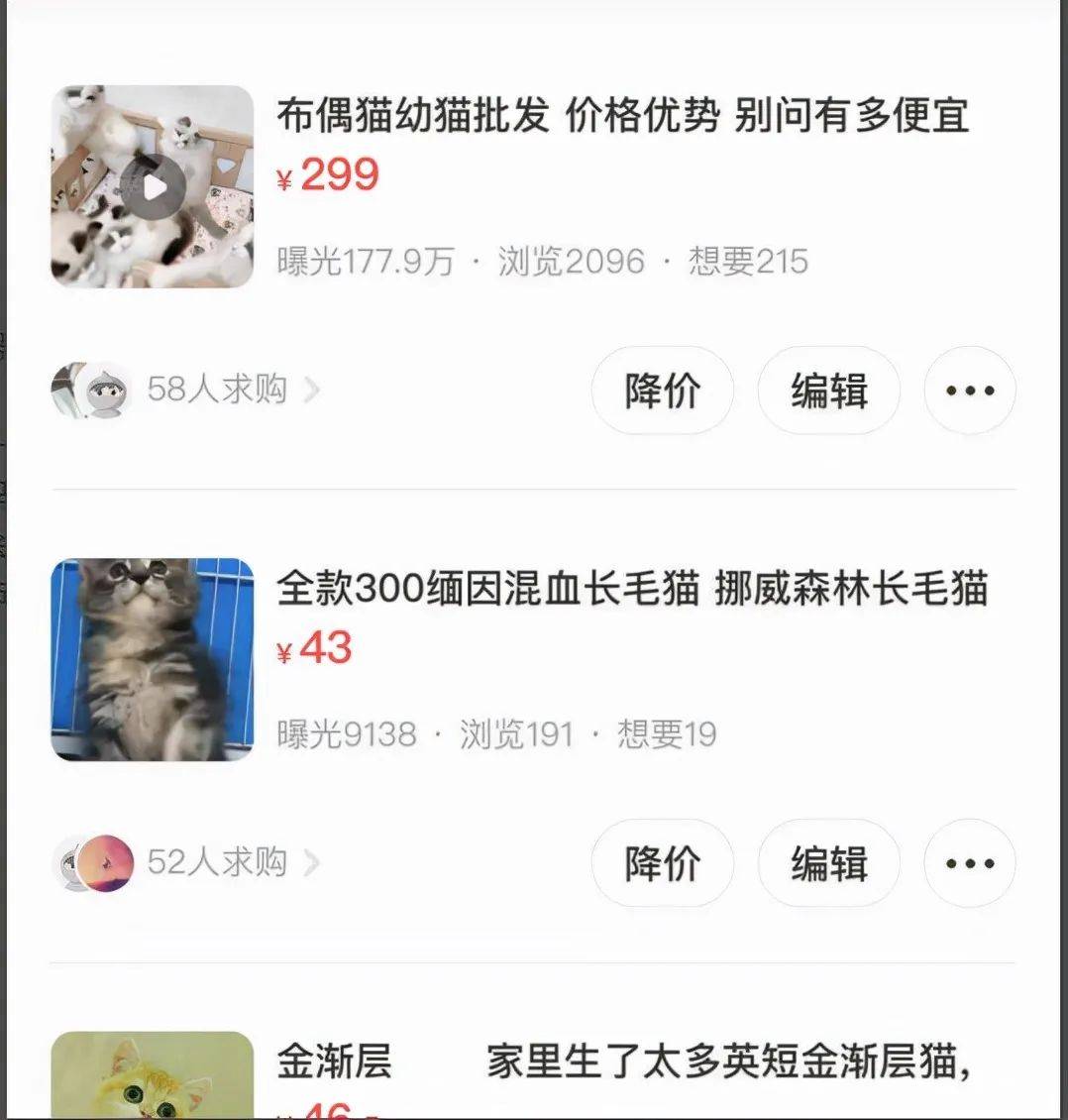 闲鱼无货源没有曝光，闲鱼无货源赚钱怎么做