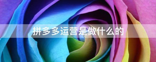 拼多多运营是做什么的