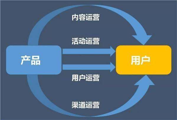 拼多多运营可以在哪个学校学习？