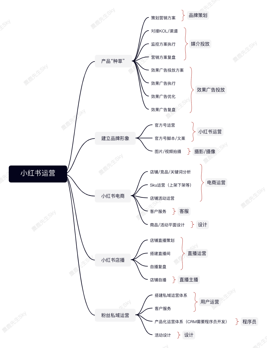 小红书运营团队组织架构设计方案
