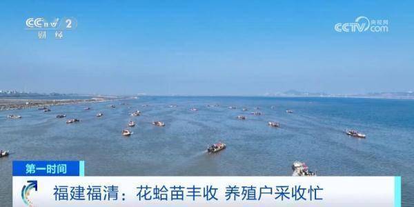 硕果累累“丰”景美 “特色产业+电商直播”让农产品成“俏货”