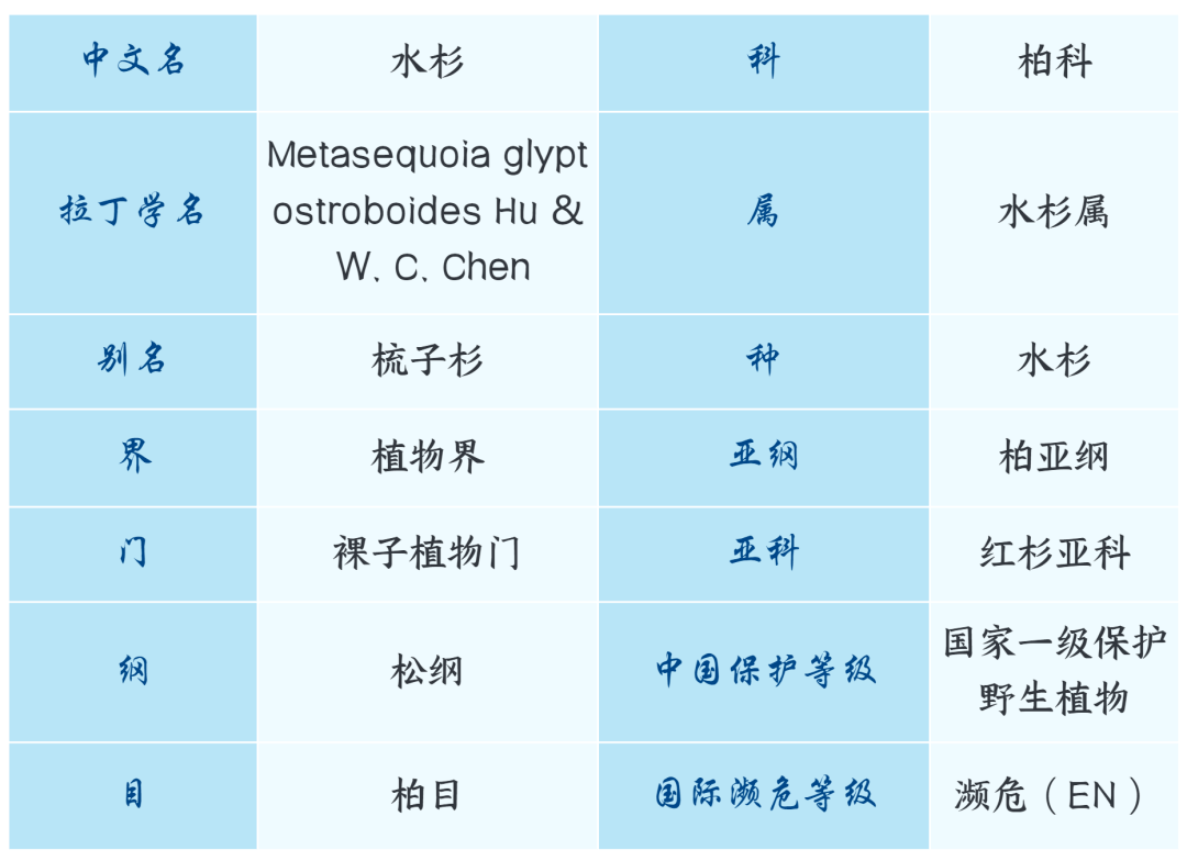 暂停运营公告！